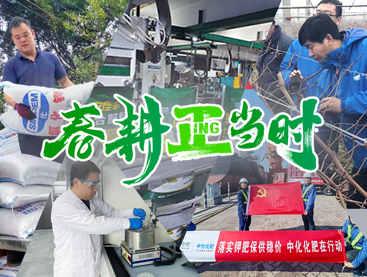 春耕正当时 | 化肥保供齐发力，多方协奏 “奋进曲”