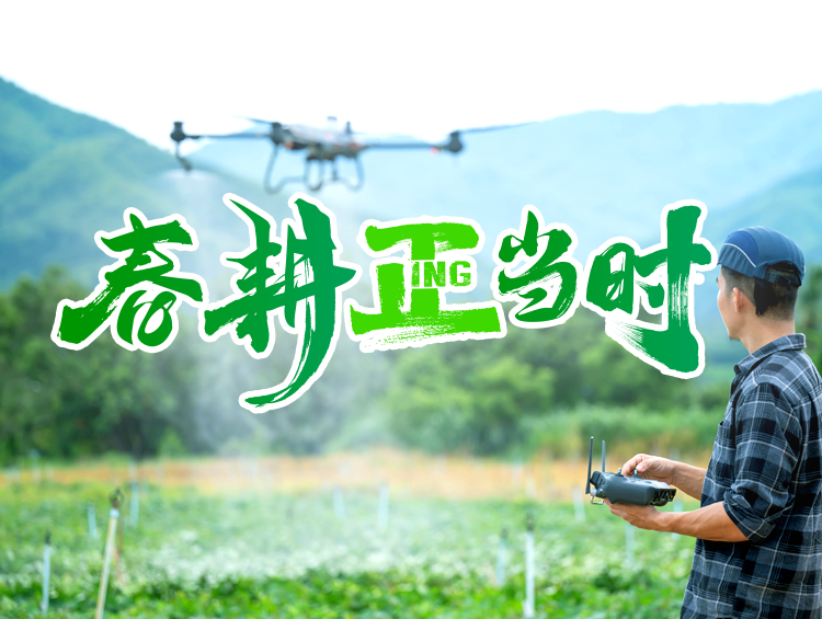春耕正当时 | 绿色植保赋能，打赢春耕“攻坚战”
