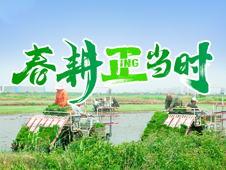 春耕正当时丨良种良法护航，“种”下丰收希望