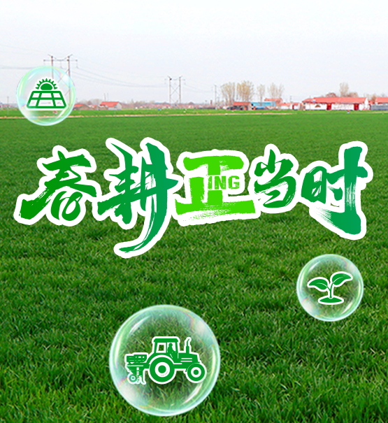 春耕正当时 | 保护性耕作：土地“轻装上阵”，丰收“厚积薄发”