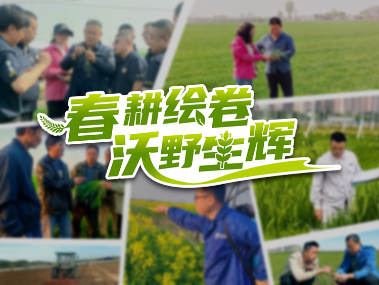 以实干担当，谱写春耕奋斗乐章