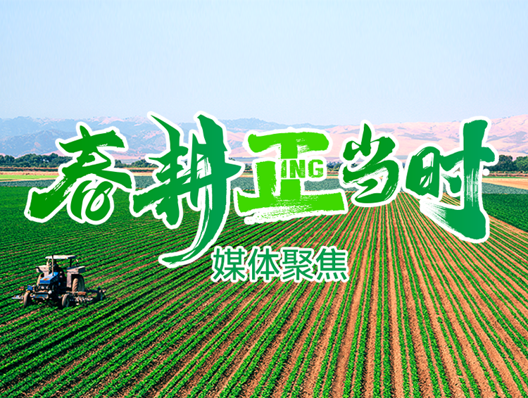 春耕正当时 | 《新闻联播》《经济半小时》等主流媒体镜头下的育种创新科技